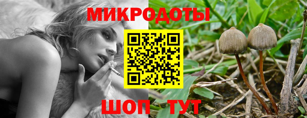 Галлюциногенные грибы Cubensis Губаха