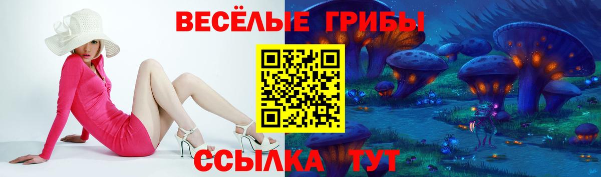 Галлюциногенные грибы Magic Shrooms  Вход с VPN  Губаха  Галлюциногенные грибы Psilocybine cubensis 